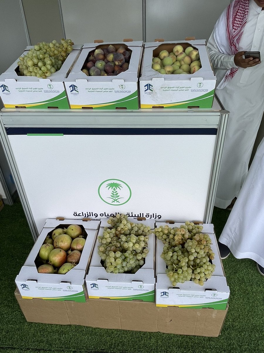 #مهرجان_العنب_بالماوين لعام ١٤٤٤هـ<a href="/MEWA_KSA/">وزارة البيئة والمياه والزراعة</a>