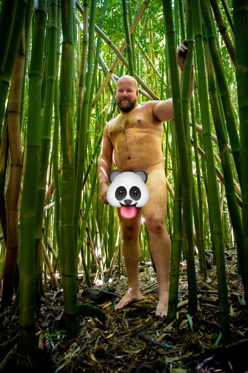 wranglertn's tweet photo. Getting naked in the bamboo forest was pretty magical. I was a sweaty mess after hiking up the volcano, but the waterfall at the end helped! #nakedandfree #nakedisnatural #teamexib #nakedinnature #hikenaked #NakedDare #nakedworkout #nakedinthewild https://t.co/WjVXsg8A9L