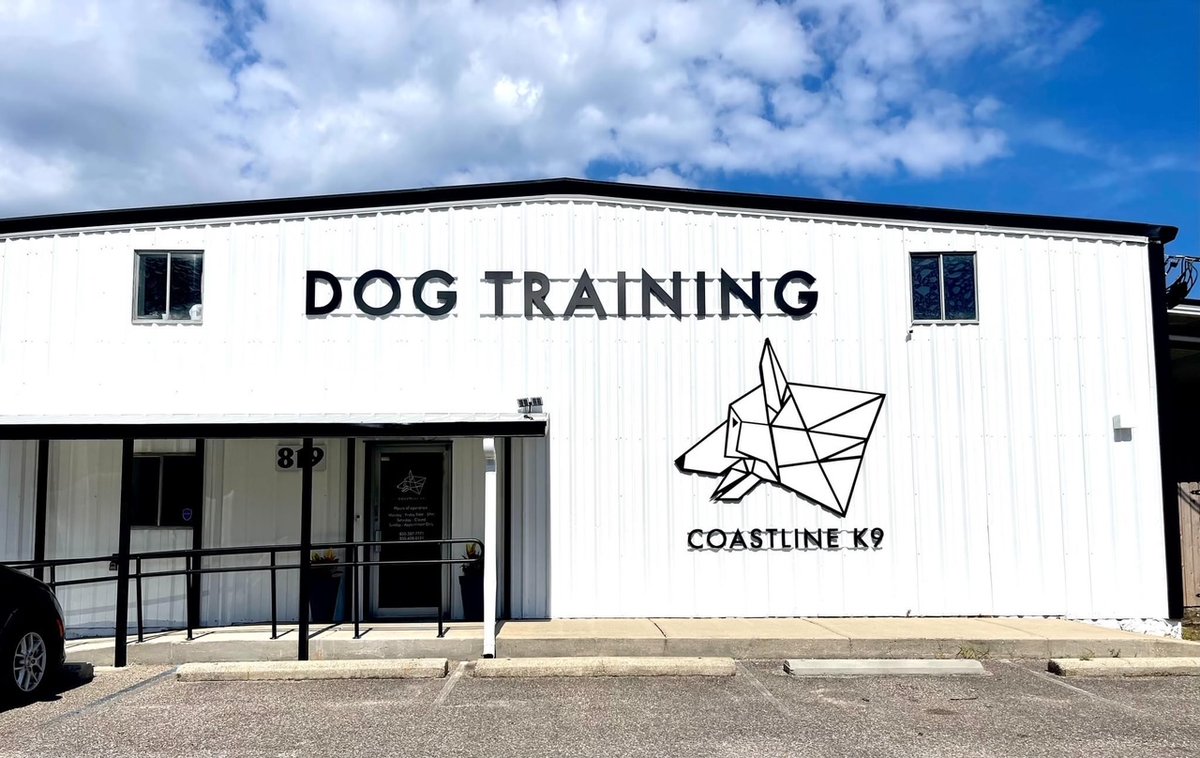 Our wonderful pups take about 6-12 months to be trained for their forever friend and this is where all of the magic happens! #dogtraining #coastlinek9 #dogs #servicedogs #military #veterans #rescuedogs