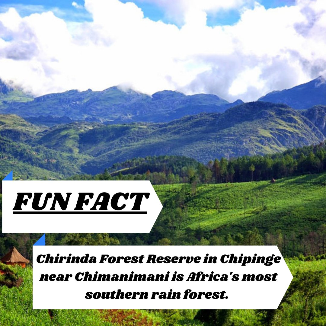 Kuva Local tweet media