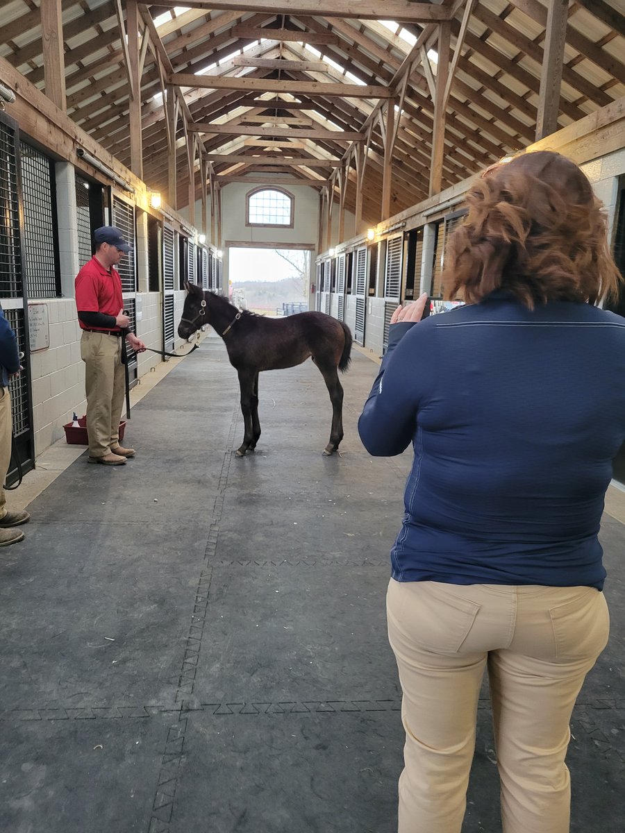 AmplifyRacing's tweet photo. While applications are still open for our #AmplifyHorseRacing Mentorship program until August 20, a few of our 2022 mentees have completed their three month course! Below, you'll find Alyssa Howell's recap of her time in the program with mentor Katie Taylor of @TaylorMadeSales. https://t.co/6oVo5j6ZrF