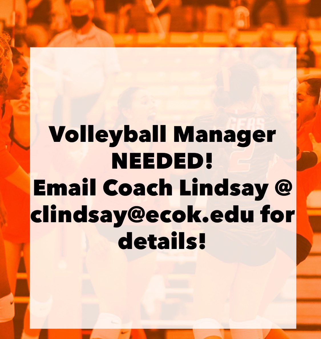 Email me for details 🔥