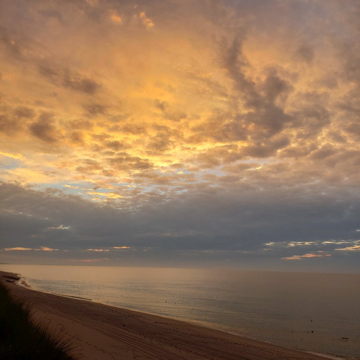 Micky (Sangwook) Ahn tweet media