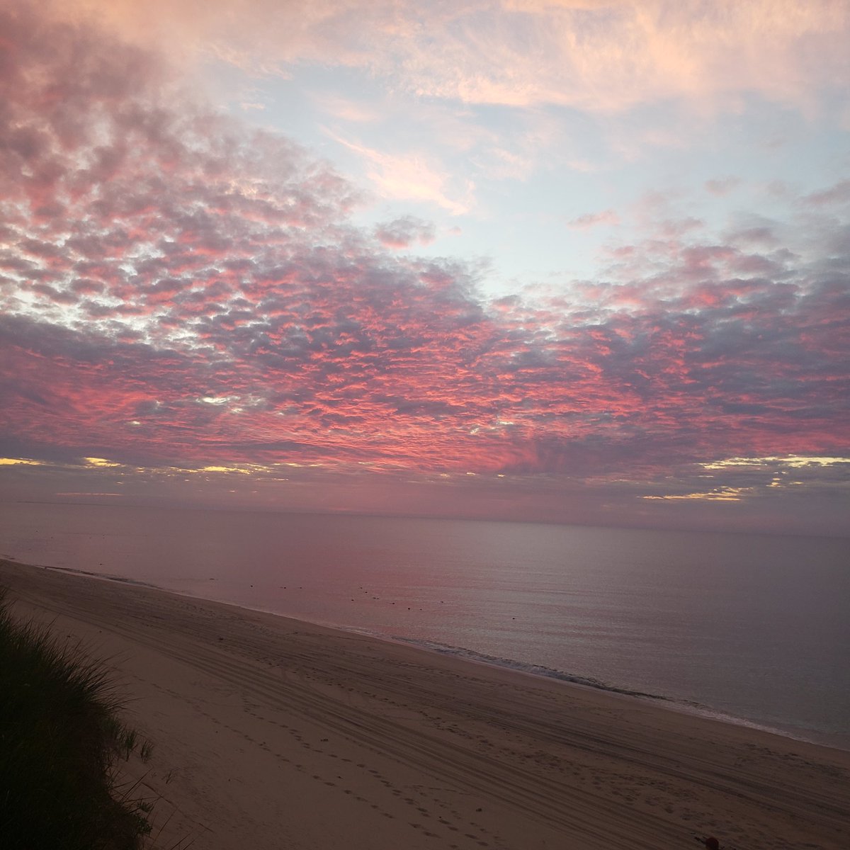 Micky (Sangwook) Ahn tweet media