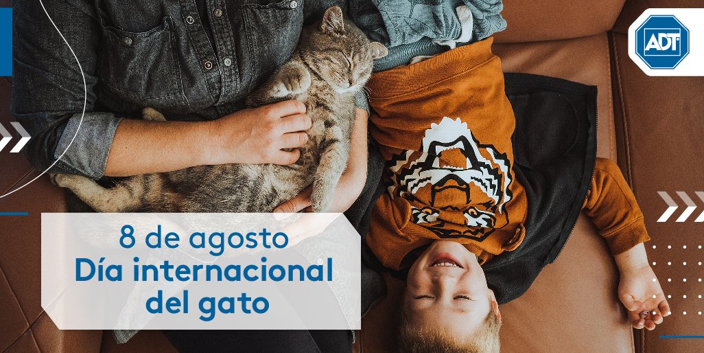 ¡Feliz día a nuestros amigos gatunos! 🐈🐈‍⬛

¿Sabías que el día fue creado por el Fondo Internacional Para el Bienestar Animal (IFAW por sus siglas en inglés) para llamar la atención sobre los derechos de los animales?

Esperamos que hoy jueguen mucho y celebren🧶😻