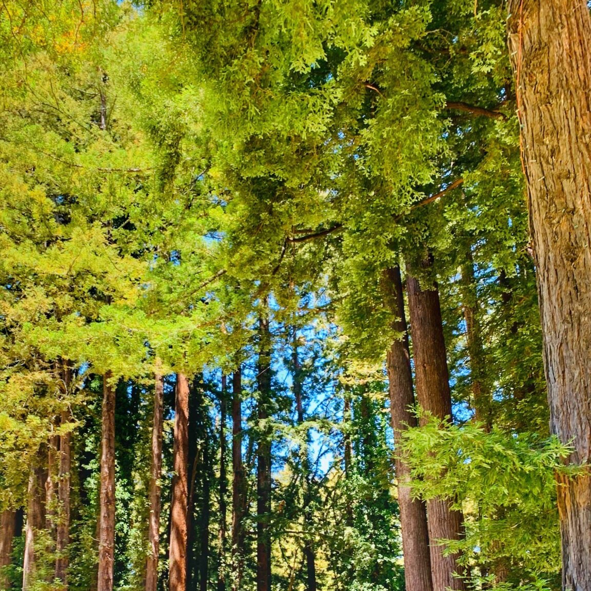 ckrusch's tweet photo. On the blog, an awesome story from T-Mobile Stories and discussion on the importance of having a reliable wireless network when enjoying the outdoors and how else you can stay safe while enjoying nature: #ad https://t.co/wOcUFUK0HY
#MobileDiaries https://t.co/slcoWLhdy5