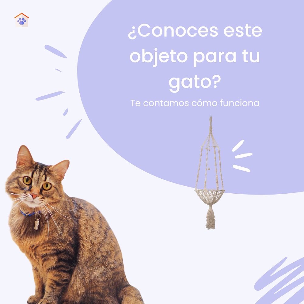 KlygoApp ES tweet media