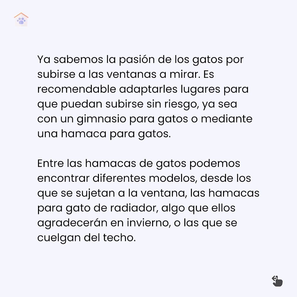 KlygoApp ES tweet media