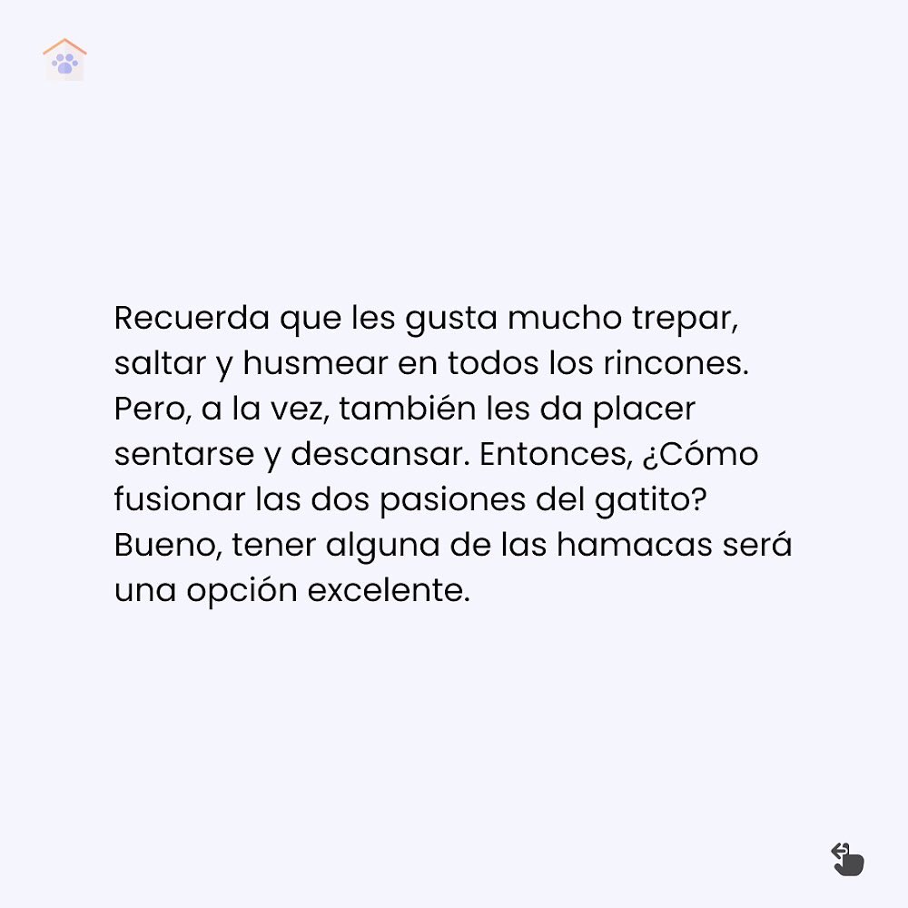 KlygoApp ES tweet media