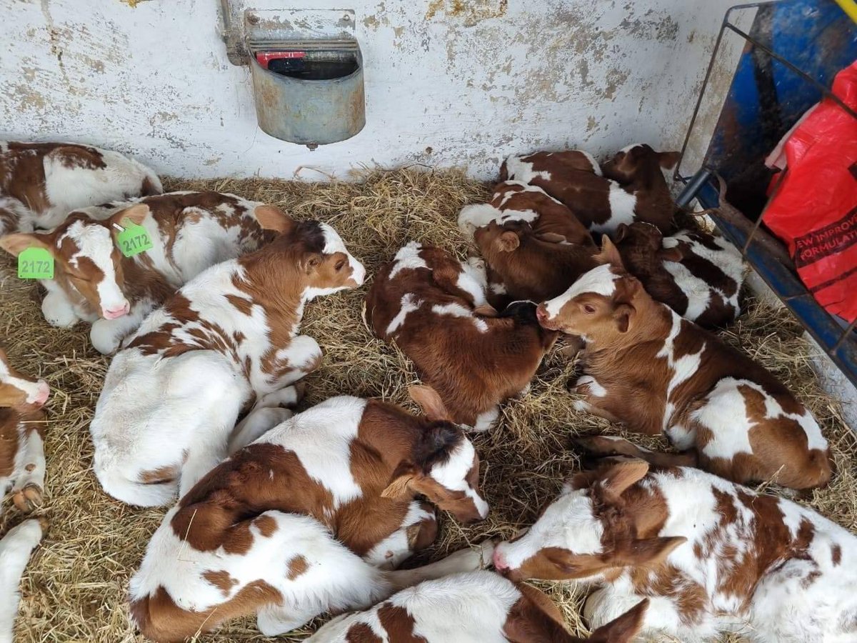 Mampho🤎 tweet media