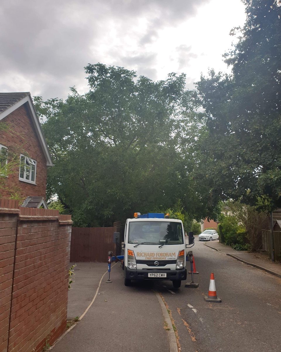RFTreeSurgeons's tweet photo. A large walnut with a tree protection order, over-hanging a road cut to the specifications allowed by the council. All applications, traffic management and liasing with the council carried out by us.
https://t.co/hCgDeV6McW https://t.co/CbGLV3WdkT
