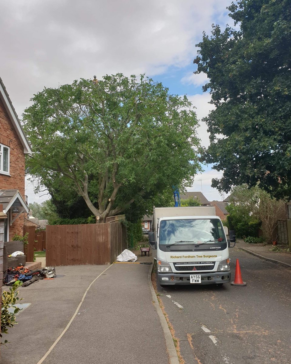 RFTreeSurgeons's tweet photo. A large walnut with a tree protection order, over-hanging a road cut to the specifications allowed by the council. All applications, traffic management and liasing with the council carried out by us.
https://t.co/hCgDeV6McW https://t.co/CbGLV3WdkT