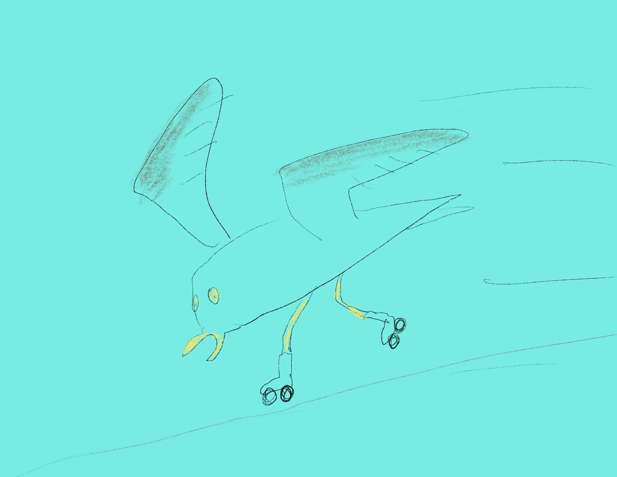 #rollerscatingseagull, #seagull, #scribble, #illustration, #digitalart, #Procreate