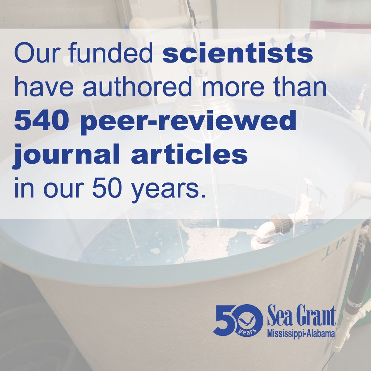 MSALSeaGrant's tweet photo. Our scientists (including PIs, students, educators, extension specialists, legal professionals, staff, etc.) have been contributing to the body of knowledge for 50 years. #MASGC50 #SeaGrantFunded https://t.co/Vu2gZZ2ZfW