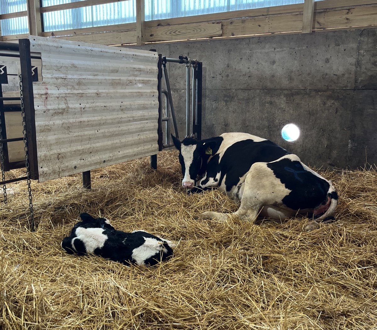 We were at Boadwine Dairy near Baltic for their big open house on July 16th &amp; are back today for a tour of their sustainability efforts. This impressive 5000-head facility keeps adding on...don't miss the latest baby calf pic! #dairy #southdakota #boadwinedairy #sdfarmfamilies
