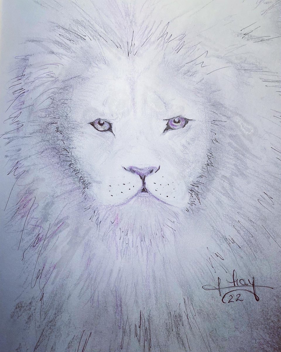 OscarAndBrutus's tweet photo. Si le père Fourra était en fait un lion 😂. Bonjour à Yan Le Gac. #dessin #lion #Chay https://t.co/cyImGV4Uly