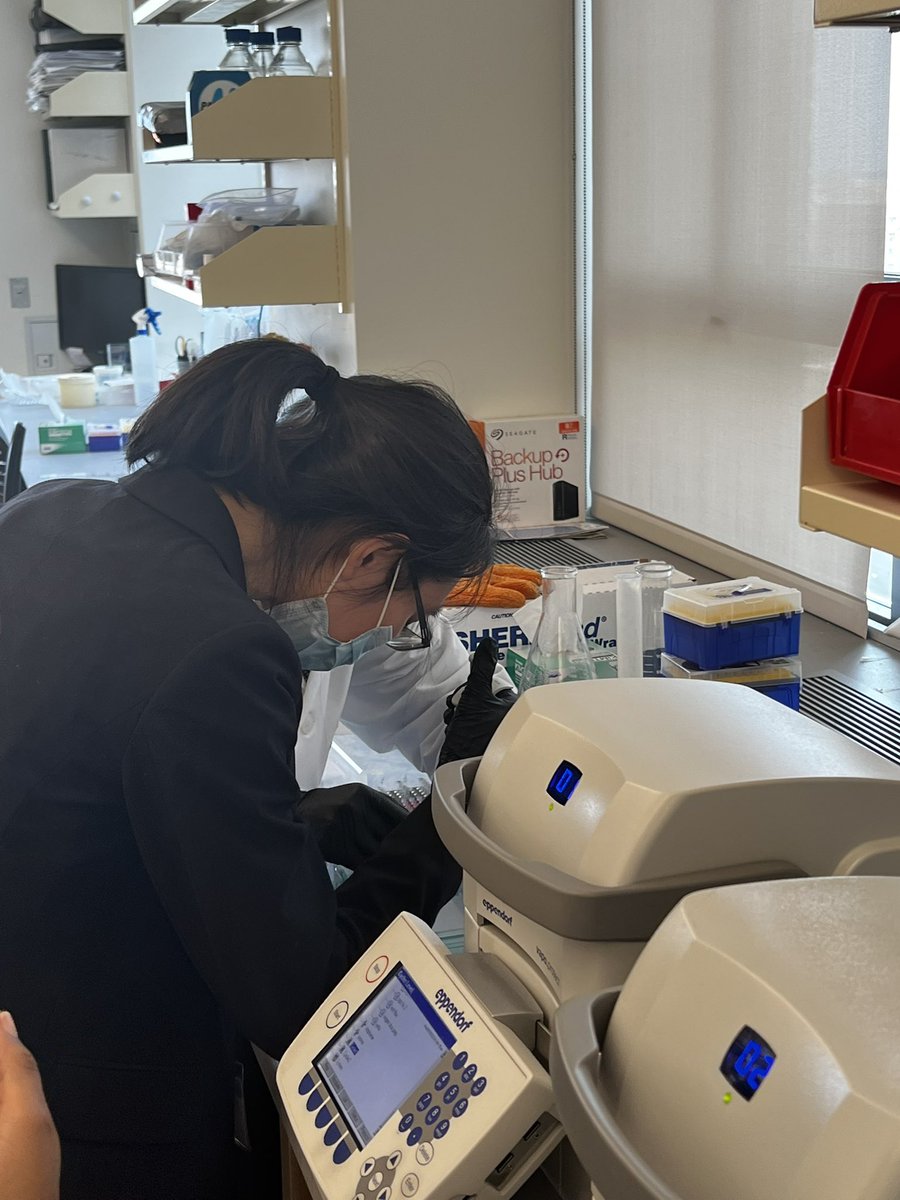 CUIMC_ACP's tweet photo. Participants of #ProjMedEd practice pipetting with researchers in the lab! 🔬🥼🧬 https://t.co/Up8FoqUssq