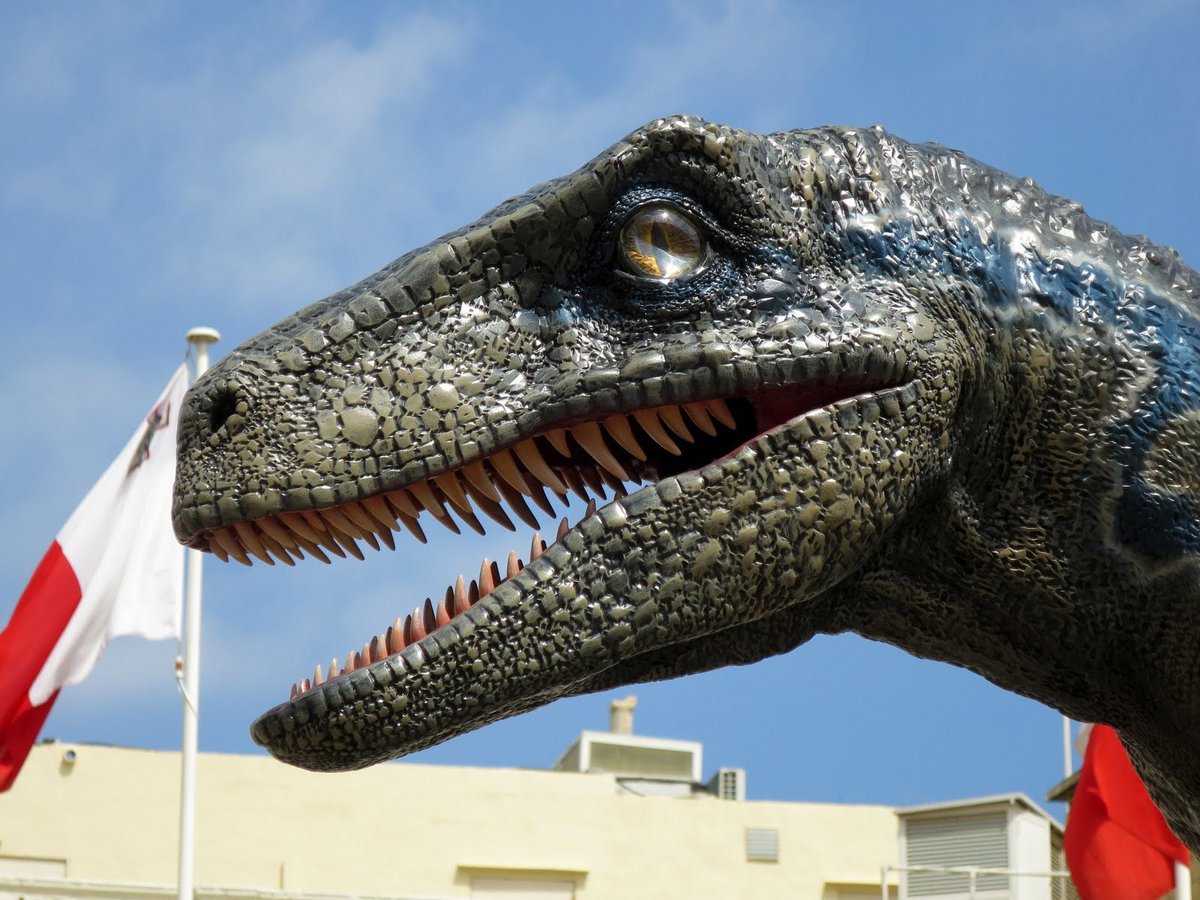 JurassicWorld_4's tweet photo. Así es la estatua de Blue que se ha colocado en Malta como honor de ser uno de los lugares de rodaje de #JurassicWorldDominion https://t.co/DsegRWdAqf