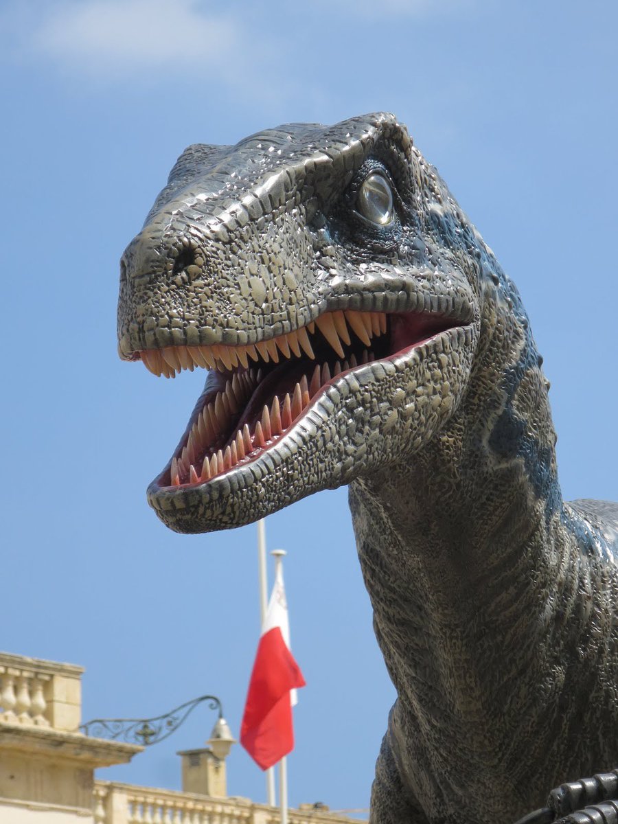 JurassicWorld_4's tweet photo. Así es la estatua de Blue que se ha colocado en Malta como honor de ser uno de los lugares de rodaje de #JurassicWorldDominion https://t.co/DsegRWdAqf