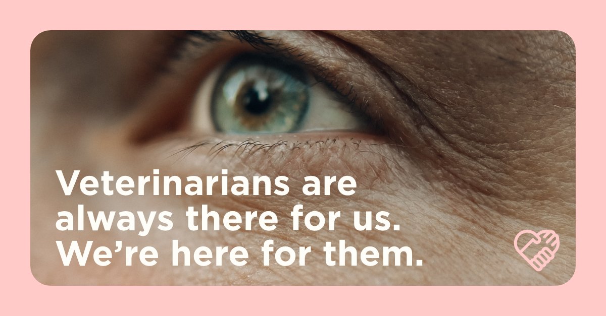 VeterinaryHope's tweet photo. Veterinarians are always there for us and our companions. Now, it's time to return the favor. Through the Veterinary Hope Foundation's interactive support groups, we're committed to supporting their mental health. Learn more: https://t.co/5wSJRtk54d https://t.co/UnrjYvGXBy