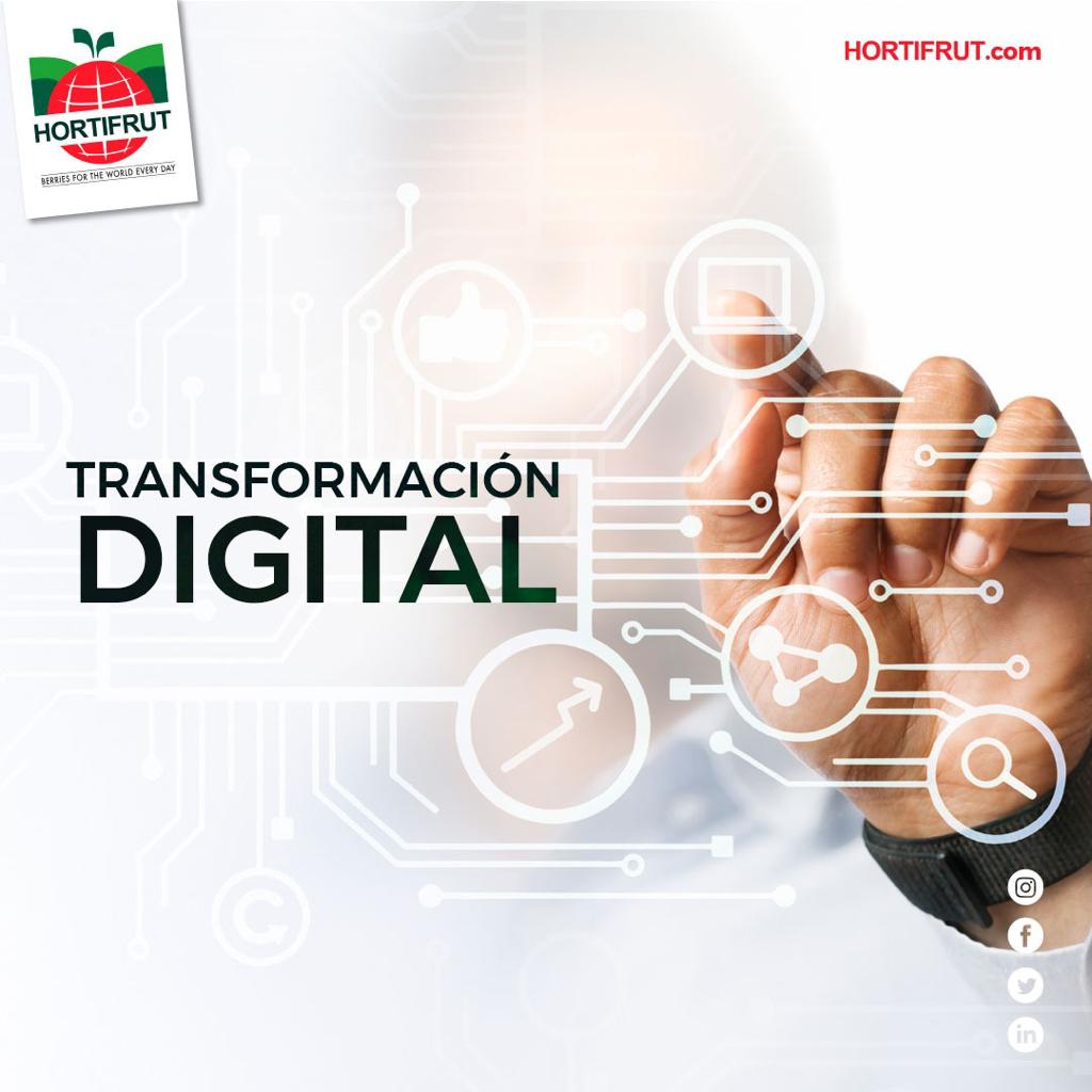 La transformación digital tiene como visión convertirnos en una plataforma digital eficiente abarcando toda la cadena de valor, desde la genética 🧬👩🏻🔬 hasta el cliente final.

 #BerriesForTheWorldEveryDay