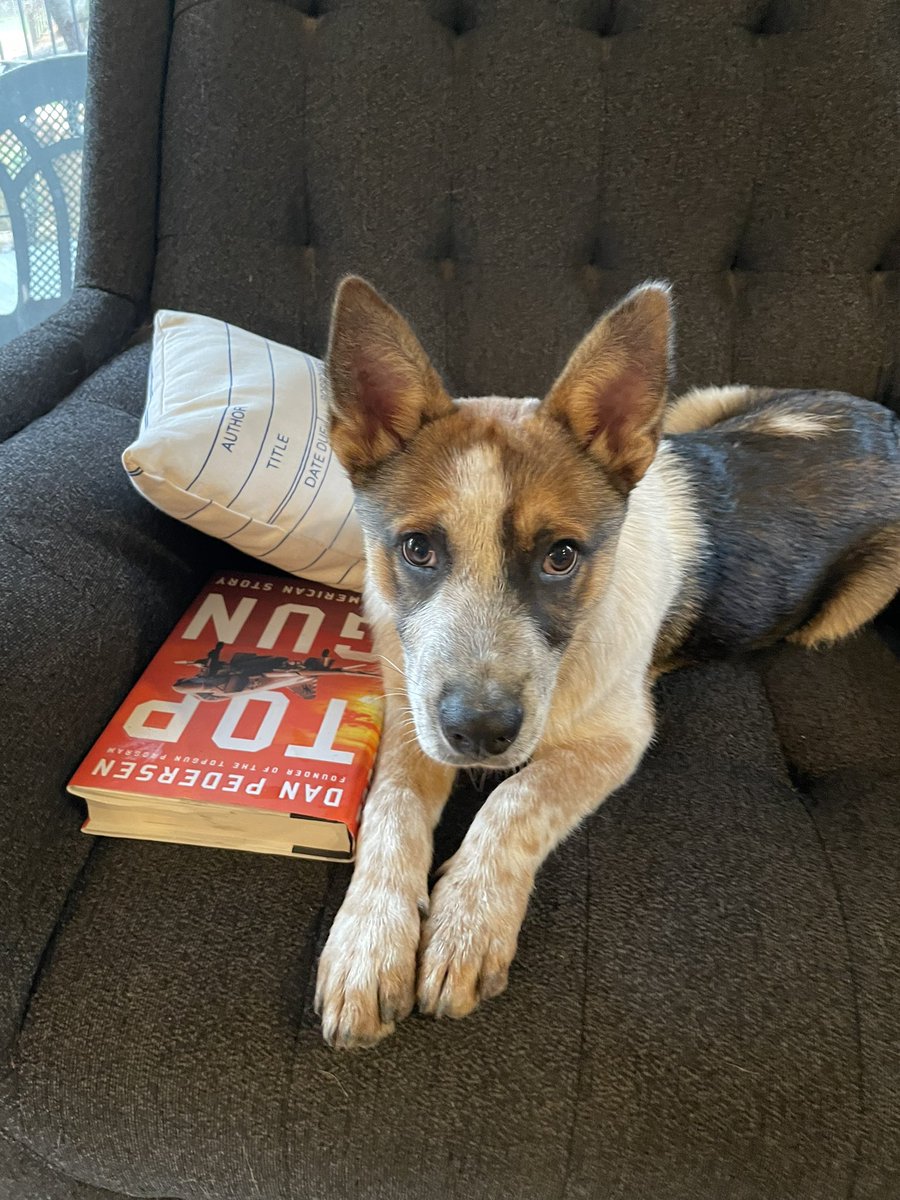GingerLobdell's tweet photo. @robertjmonson My puppy is snuggling with my book until I can get back to it tonight! (By the founder of the Top Gun program) https://t.co/HtvaEDtZwq