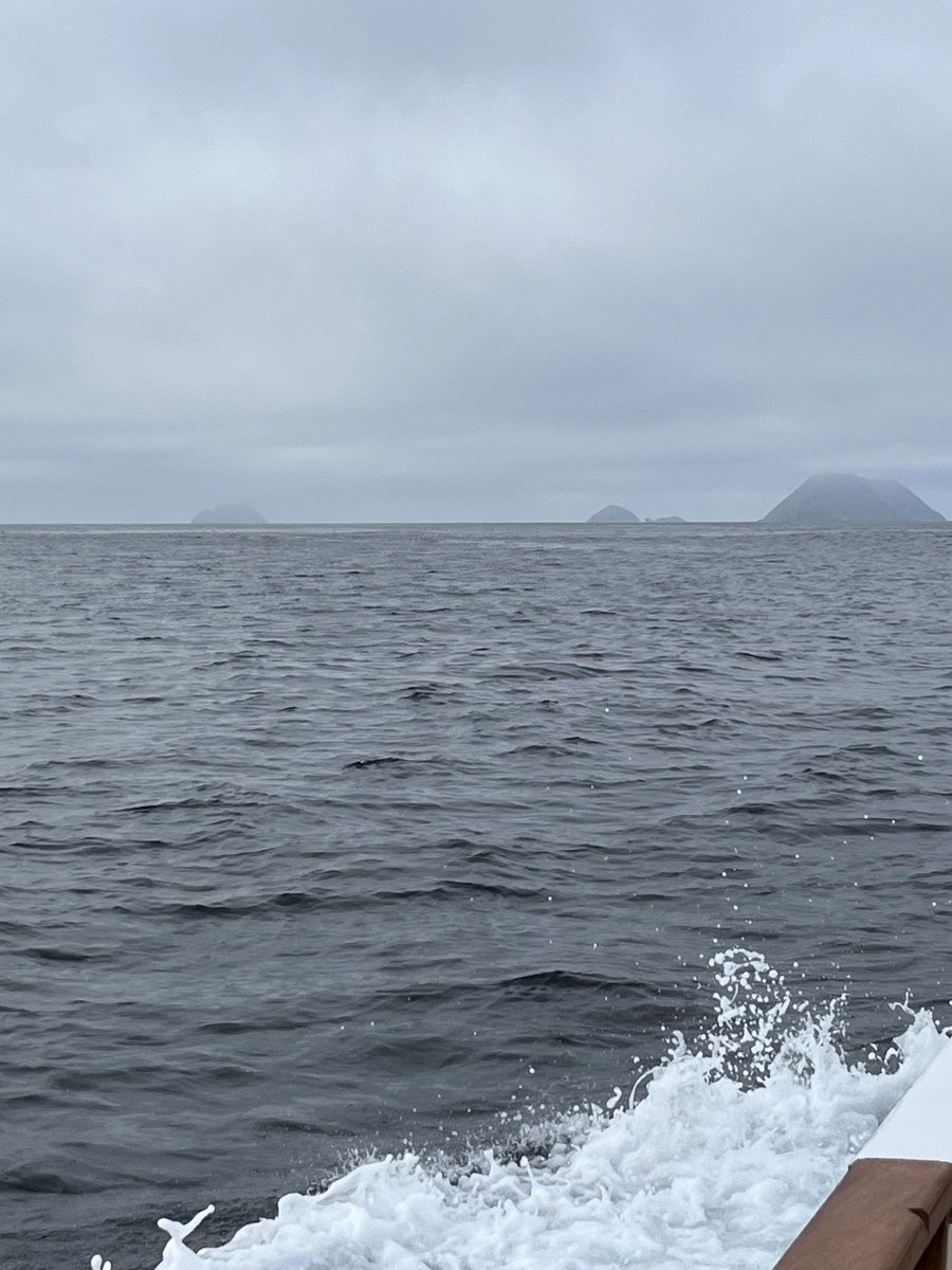Iisduck11's tweet photo. The ocean is my favorite place to be #ocean #outdoors https://t.co/AYRofQS0hS