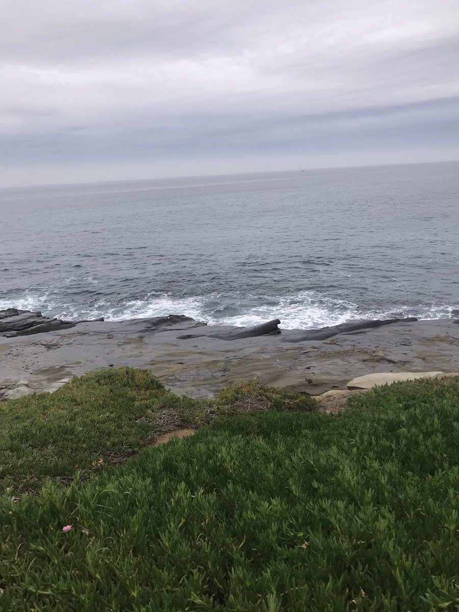 Iisduck11's tweet photo. The ocean is my favorite place to be #ocean #outdoors https://t.co/AYRofQS0hS