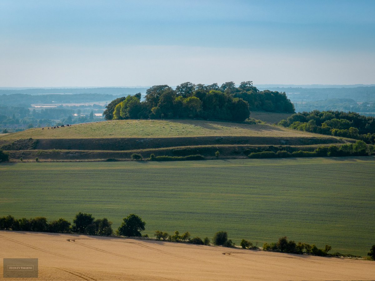 thorneh's tweet photo. Wittenham Clumps, my recommendation for somewhere to be alone and reflect. #ironage #wittenhamclumps #earthtrust #hillfortswednesday https://t.co/MwQV27q8uU