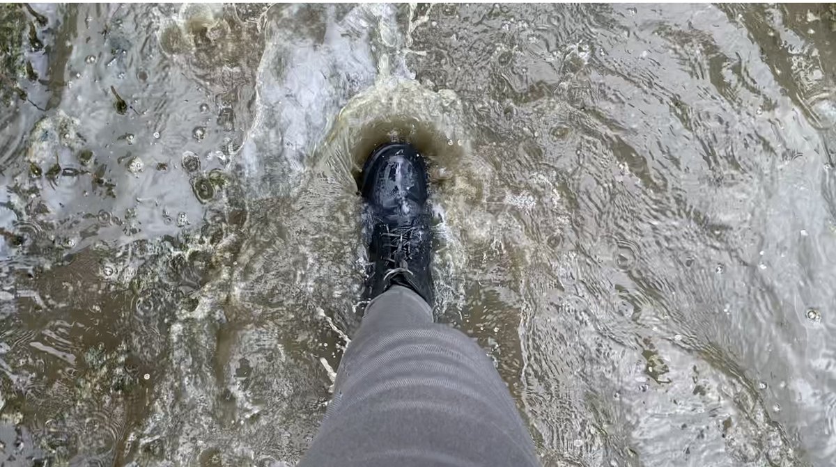 We took a front seat in the #IndigenousKnowledge on #Mangroves class. This #PeerToPeerLearning experience was a muddy muddy affair but we had fun! Watch the video to get a feel of how it went down. youtu.be/749OhAId5R8
<a href="/BlueVentures/">Blue Ventures</a> <a href="/KmfriResearch/">KMFRI</a> <a href="/KeForestService/">Kenya Forest Service</a>
