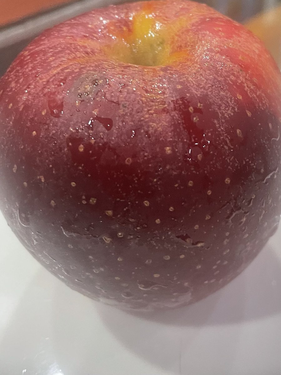 vishesh_jk's tweet photo. Apple season ready to arrive. This piece of art by mother nature from Poonch . Beautiful and tasty. Looking forward to multi variety crop from all parts of kashmir and Many districts of Jammu.  Get ready , here we arrive.# Apple : Jammu and kashmir. https://t.co/8wzn8TA5fe