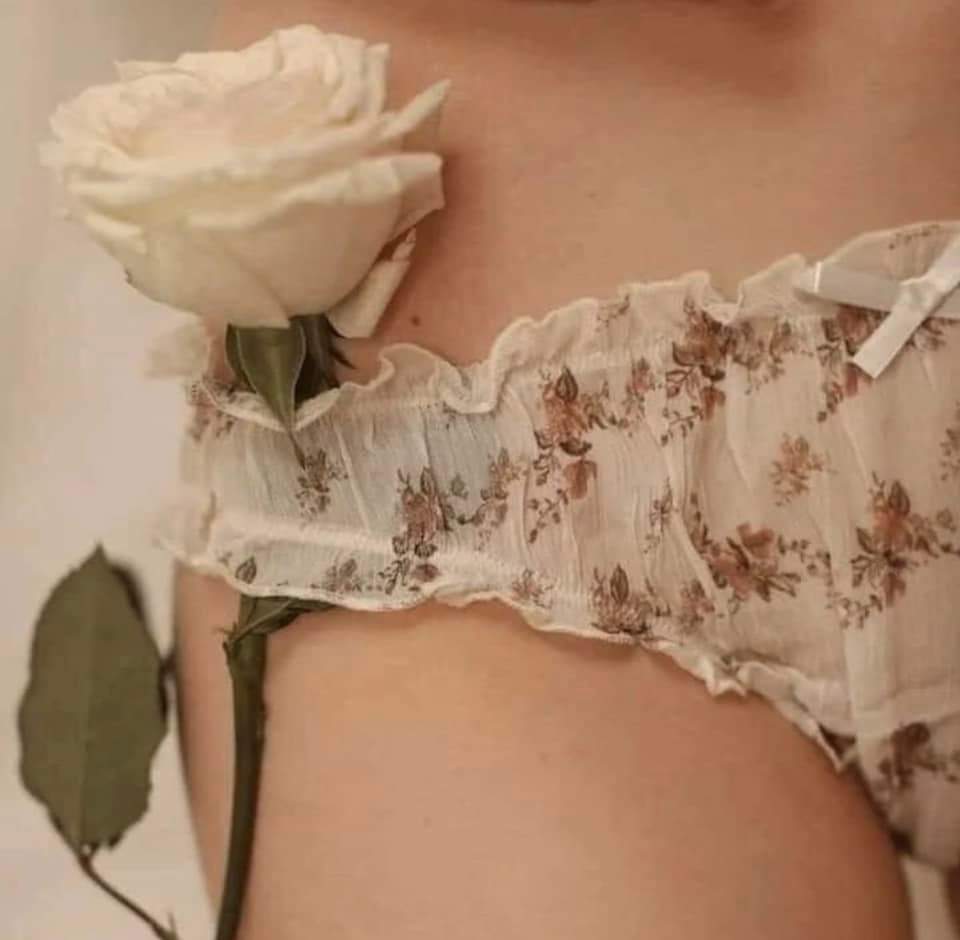 Happycurien's tweet photo. Une petite rose..
                  À peine éclose.. https://t.co/oCWoGnw5BA