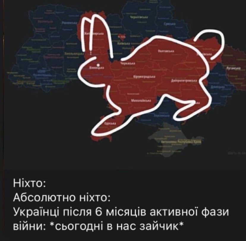 Ukrainians after 6 months of active war 'today we have a bunny' #RussiaTerroristState #FollowUkrainians