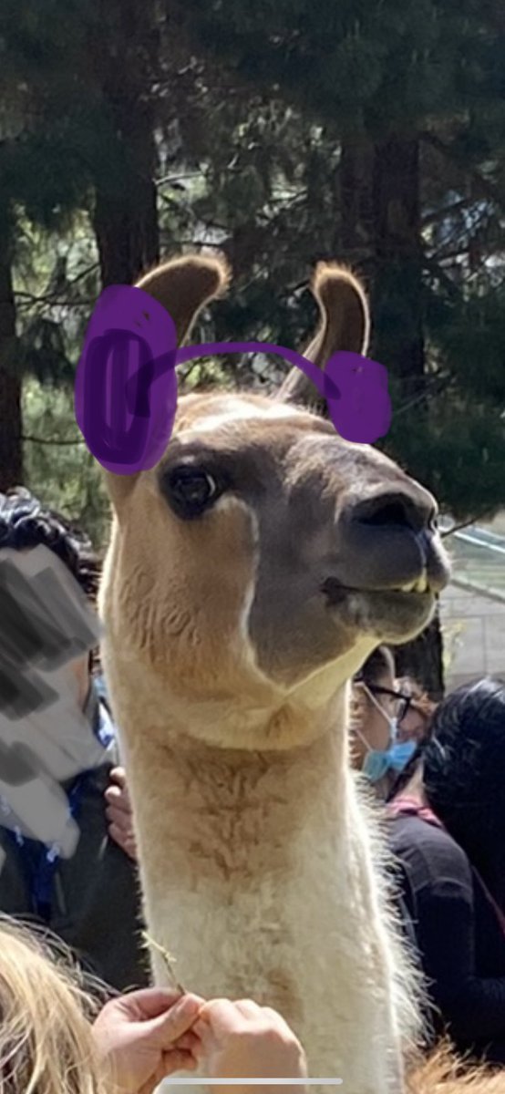 Gowoon Son, PhD (she/her) (@gowoon_son) on Twitter photo <a href="/TiaLamore/">Tia LaMore</a> <a href="/grinberg_t/">Lea T. Grinberg, M.D, Ph.D</a> <a href="/GrinbergLab/">Grinberg Lab</a> <a href="/TiaLamore/">Tia LaMore</a> <a href="/grinberg_t/">Lea T. Grinberg, M.D, Ph.D</a> <a href="/GrinbergLab/">Grinberg Lab</a>