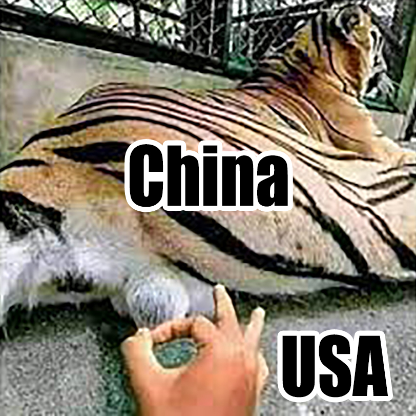 ElDiCaprio's tweet photo. Nancy Pelosi en Taiwan explicado en una imagen #TerceraGuerraMundial https://t.co/FzbCcTtzKv