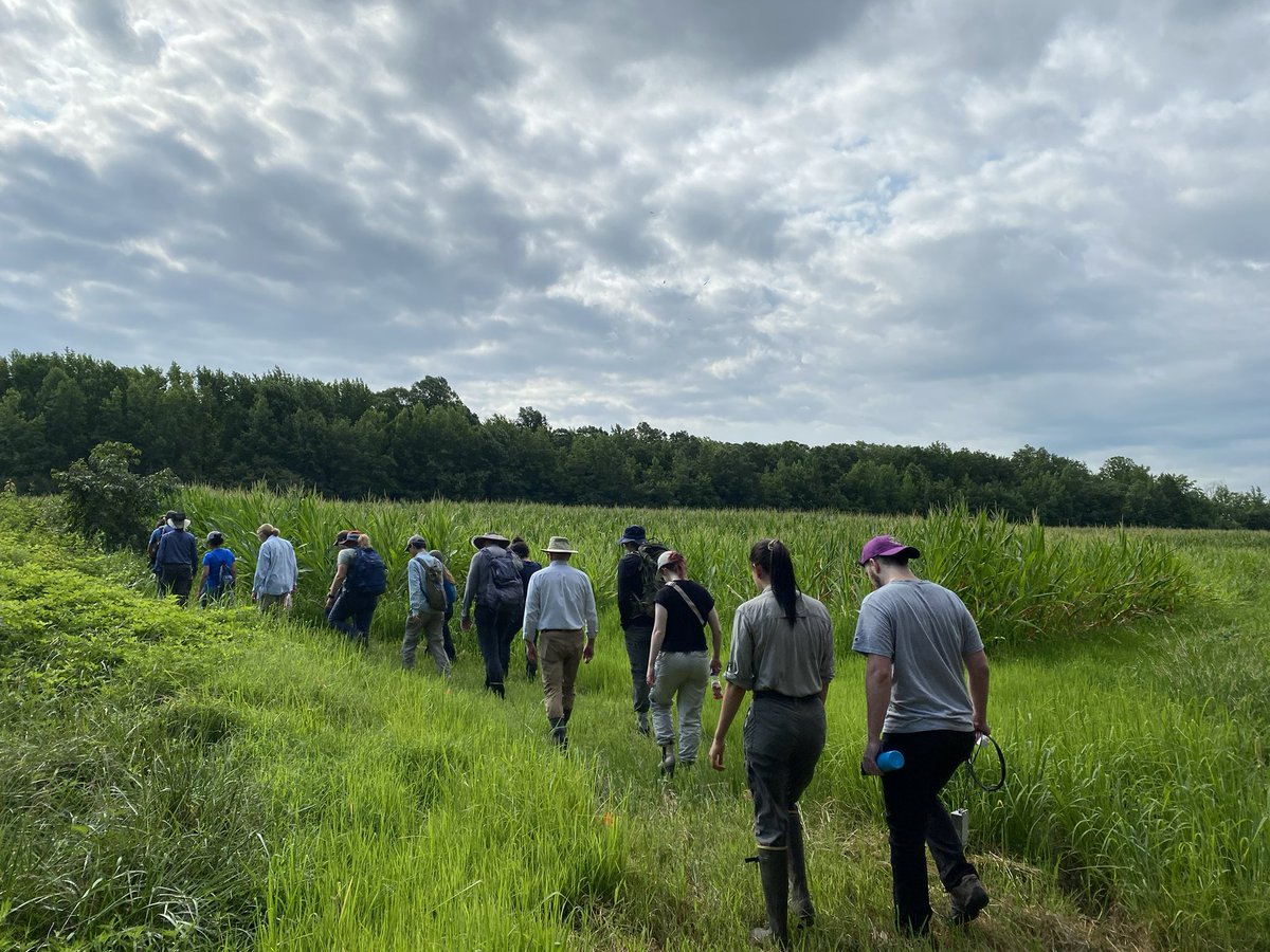 Big Data Cluster tweet media