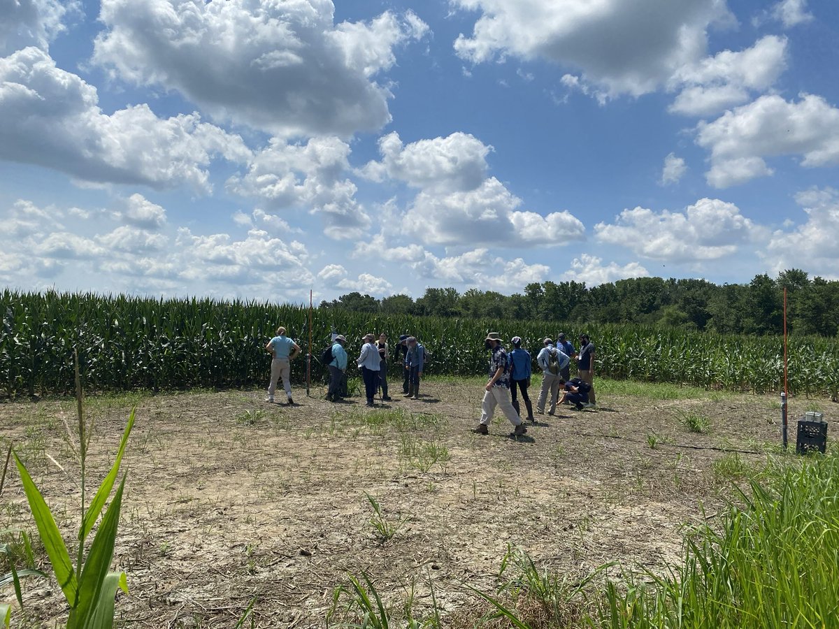 Big Data Cluster tweet media