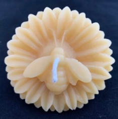 - mailchi.mp/c21d6a03dded/w…