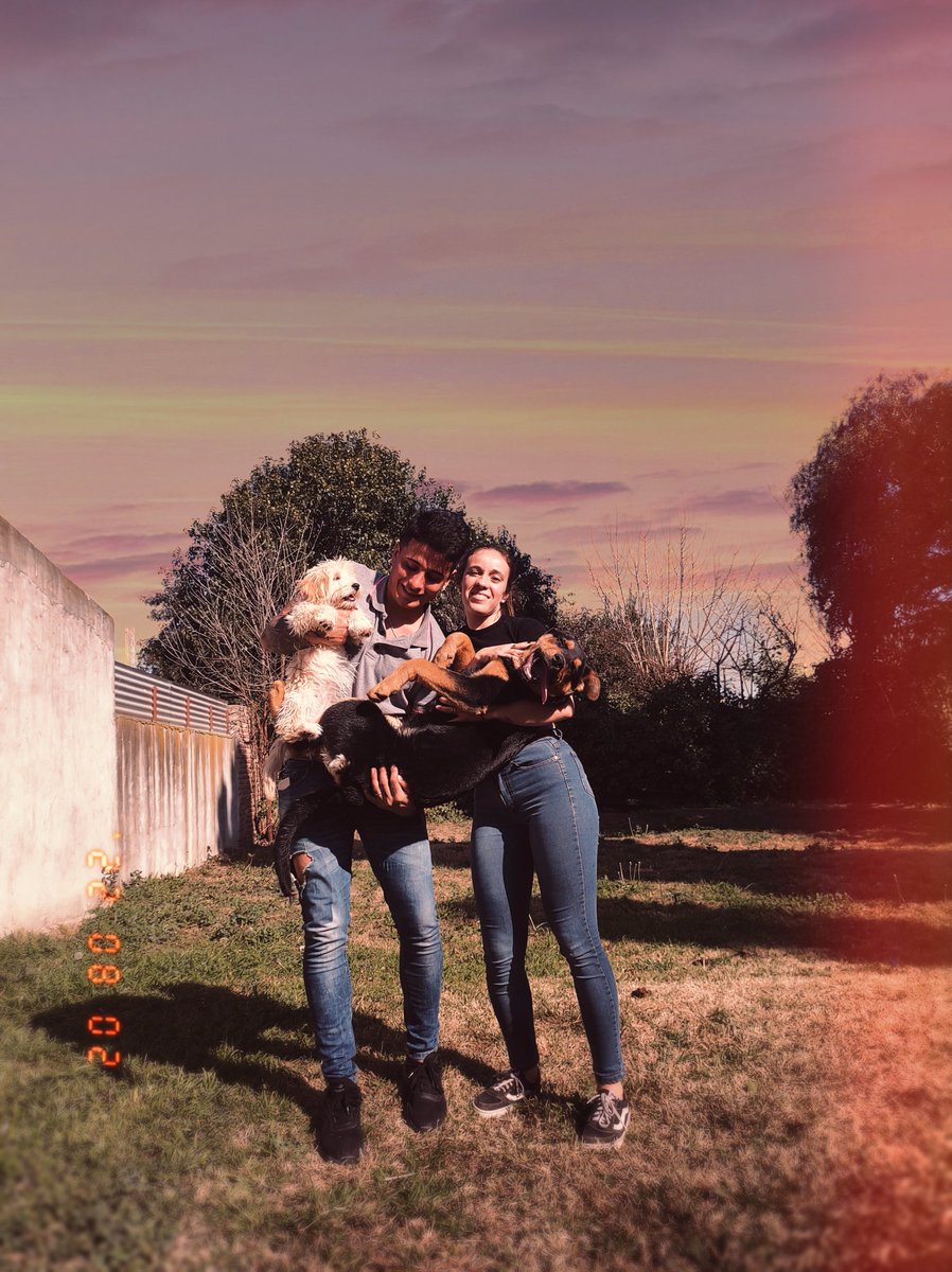 brunevilches's tweet photo. Paso a presumir la felicidad de mi perro 😍 https://t.co/HDjOA49Nmp