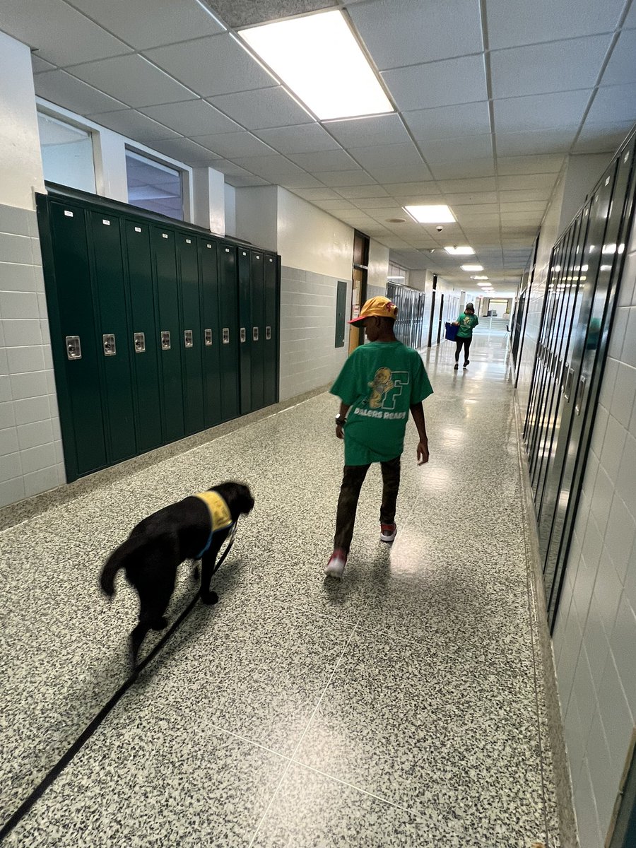 Ms. Scheel tweet media