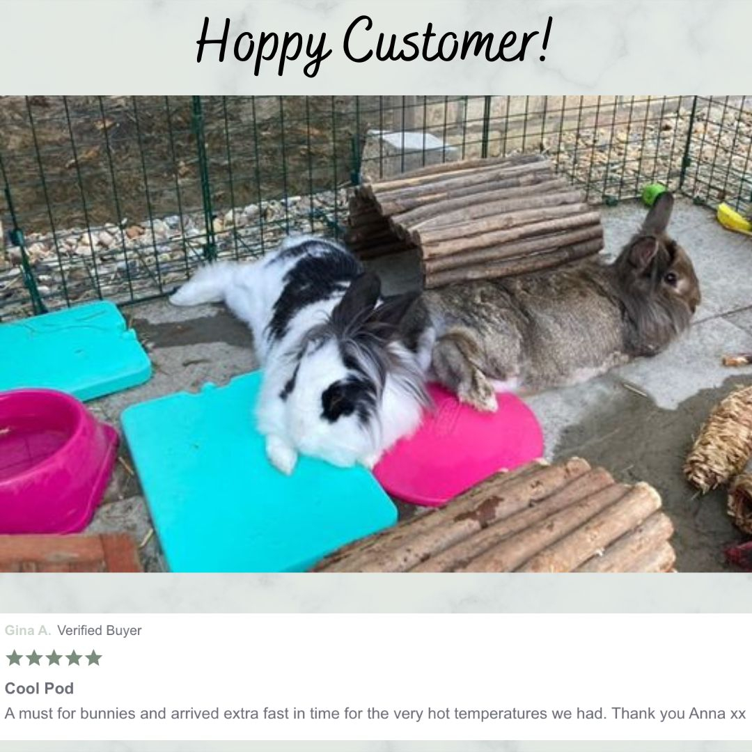 RabbitRetailUK's tweet image. Hoppy and Cool Customers! Bella and Georgie are the coolest buns on the block with the SnuggleSafe CoolPod. 

CoolPods are still 10% off, with a further 2% off in our 2-year birthday celebrations this week.

#HoppyCustomer #CoolCustomer #Bunny #Rabbit #OneHopShop #RabbitRetail #R