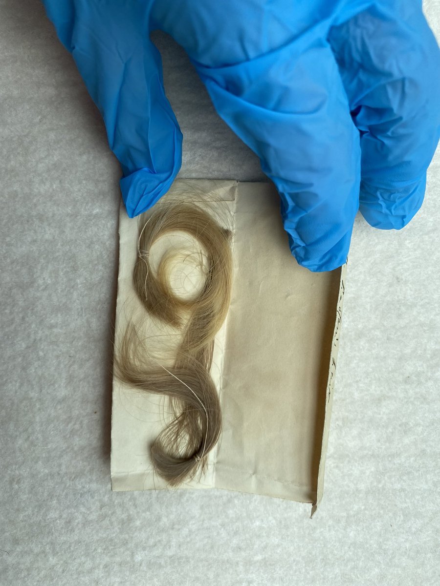 Excited to get stage 1 results back from <a href="/TotheletterD/">totheletterDNA</a> Hair sample from 1830 has enough #DNA to proceed to next step #DNAtest