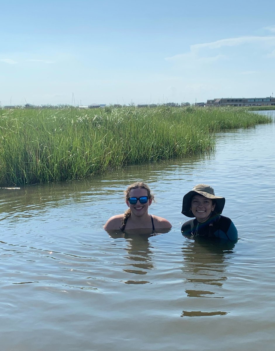 Dr. Stephanie K Archer (@archerecology) on Twitter photo Taking a moment to recognize how amazing it has been to host our <a href="/LASeaGrant/">Louisiana Sea Grant</a> intern, Jill. She has done great work advancing our understanding #oyster #reef #soundscapes. We will miss her when she's done! #CommunityEngagedInternship #SGIntern Taking a moment to recognize how amazing it has been to host our <a href="/LASeaGrant/">Louisiana Sea Grant</a> intern, Jill. She has done great work advancing our understanding #oyster #reef #soundscapes. We will miss her when she's done! #CommunityEngagedInternship #SGIntern