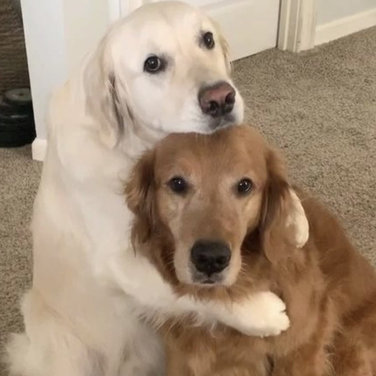 #TOMORROW_X_TOGETHER