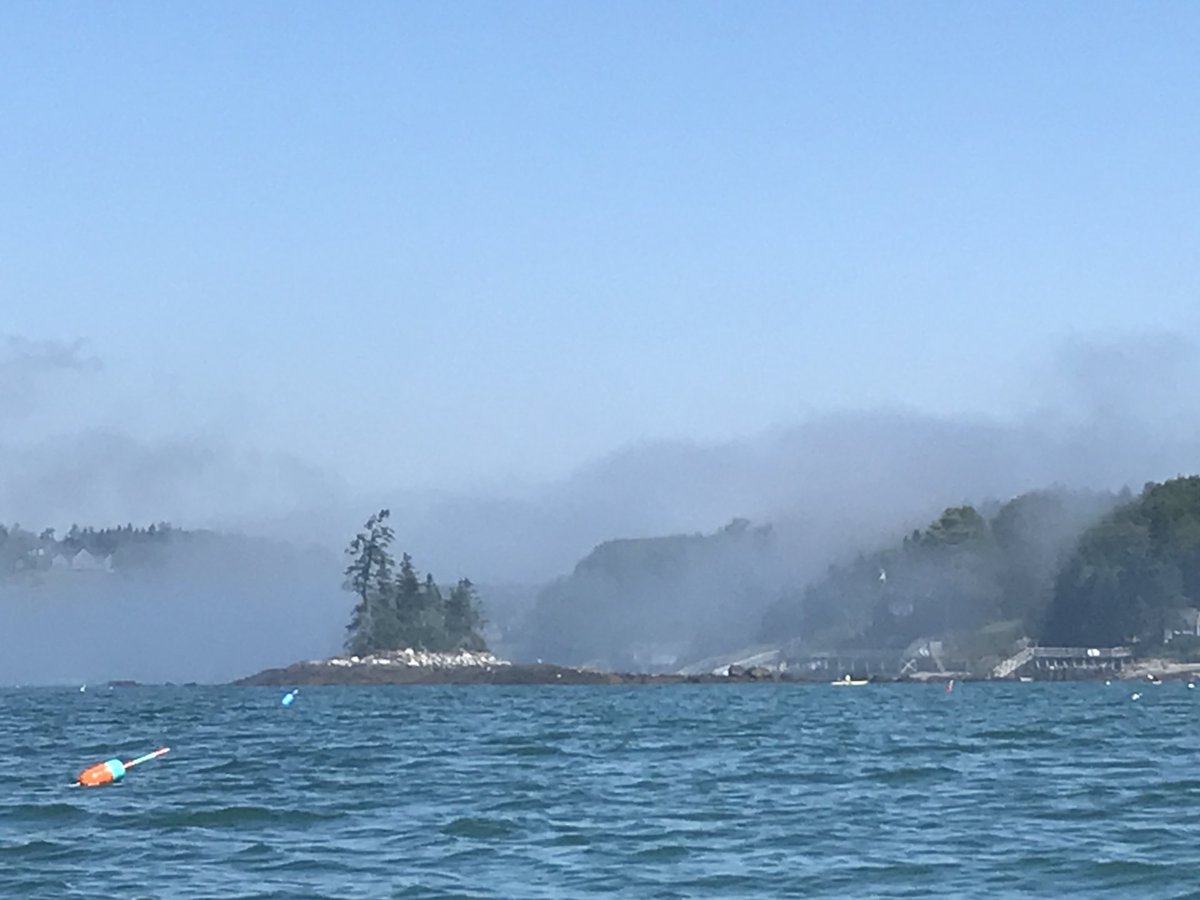 DrJudyStone's tweet photo. Wind picked up slightly on way back #Linekin Bay https://t.co/nII04HE46s