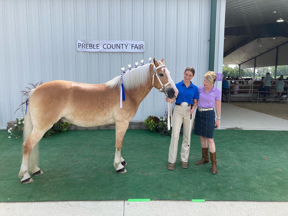 ohioagriculture's tweet photo. If there’s a fair, Director Pelanda wants to be there. A fantastic visit to #PrebleCounty before making it back to the #OhioStateFair for Dean’s Charity Steer Show. All proceeds from the show benefit @RMHCofCentralOH. 

#Ohio #Agriculture #4H #FFA #ohioag #ronaldmcdonald https://t.co/MxYBPnpAKD