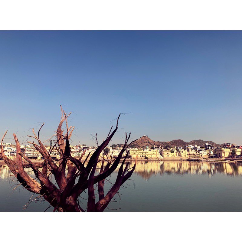pallavisharda's tweet photo. So many moments, but this - sitting on the banks of Lake Pushkar working with stalwart director @GurinderC - was a culminating point of my hyphenated identity being brought to life in a few weeks of art making on the sets of #beechamhouse! #75yearsofAusInd #dosti @AusHCIndia https://t.co/MBpk90yeJD