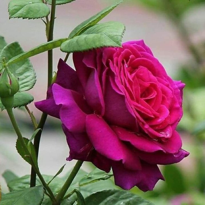 dielyo_r's tweet photo. #NewProfilePic https://t.co/rslaAmeJWh