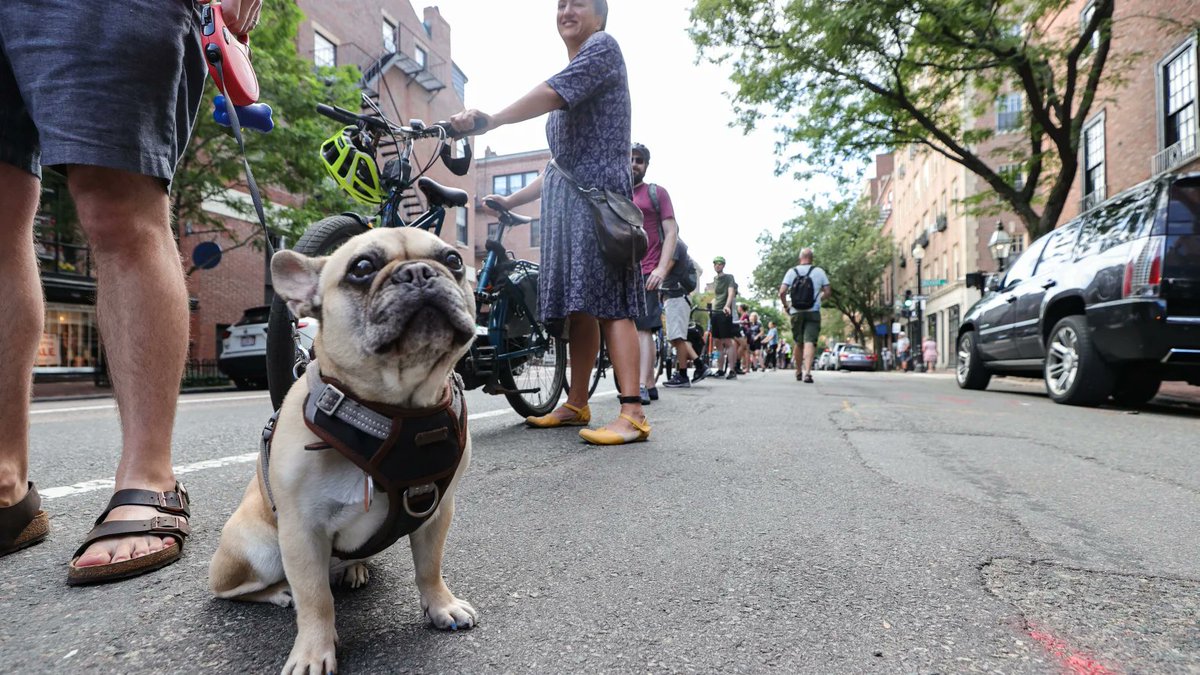 Iris M. Crawford tweet media