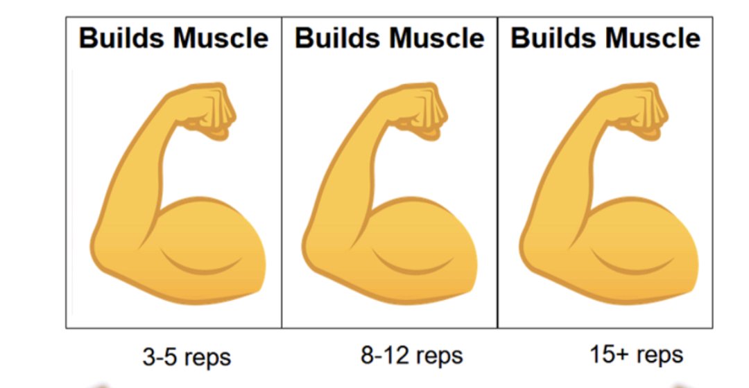 joeplatt1979's tweet photo. Train with heavy, moderate and light weight to build muscle. They all work as long as you push yourself and put in the intensity #buildmuscle #weightloss #reprange #highrep #lowrep https://t.co/ymClqMtNN0